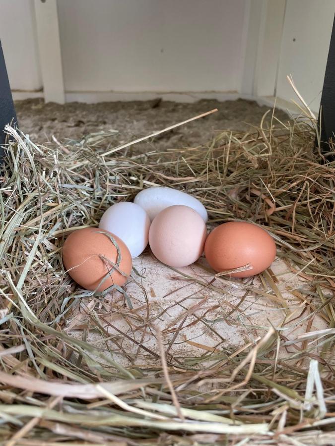 B&B Bagnes Versegeres Zewnętrze zdjęcie